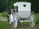 back of white carriage and horse on trail